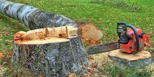 Best Stump Grinding and Removal  in Shullsburg, WI