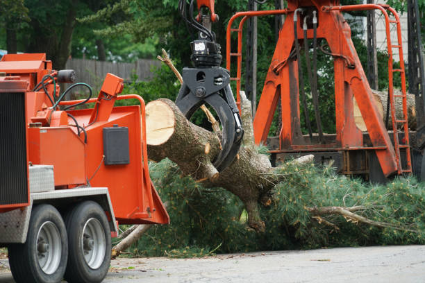 Lawn Watering Services in Shullsburg, WI